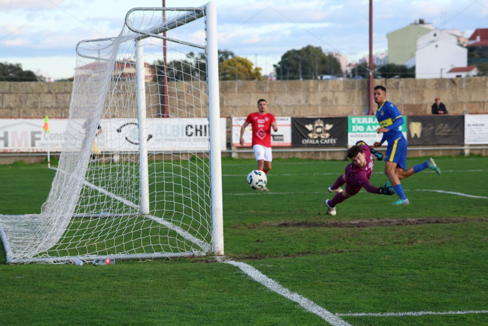 WhatsApp Image 2025-02-01 at 16.48.34