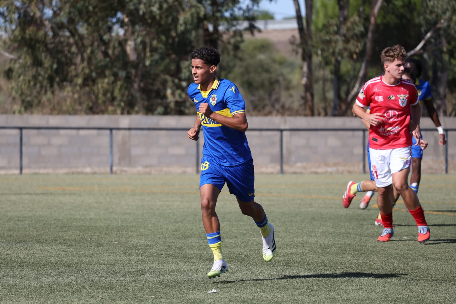 WhatsApp Image 2025-11-02 at 12.13.16