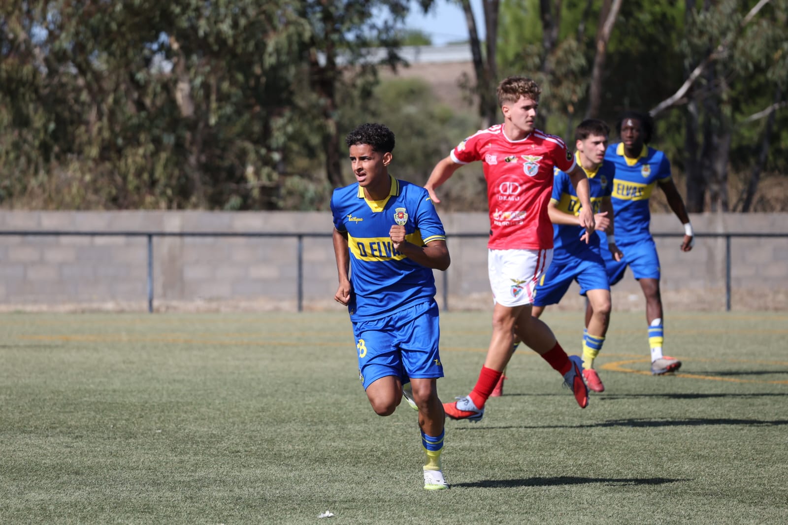 WhatsApp Image 2025-11-02 at 12.13.17