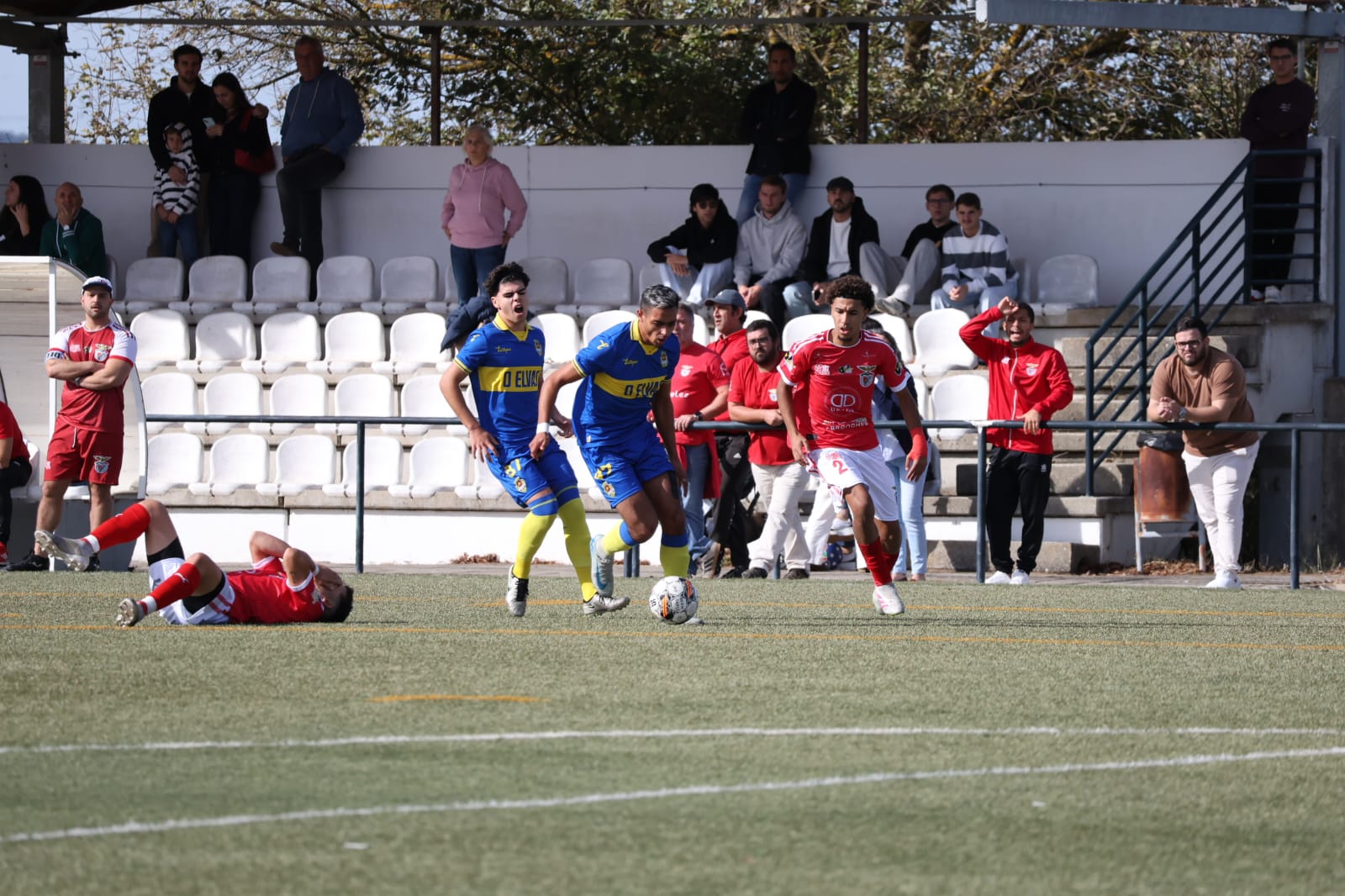 WhatsApp Image 2025-11-02 at 12.13.18 (2)