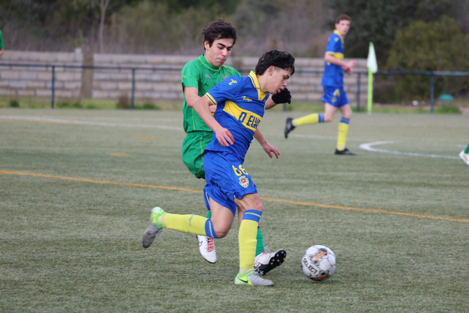 WhatsApp Image 2026-01-17 at 12.35.39